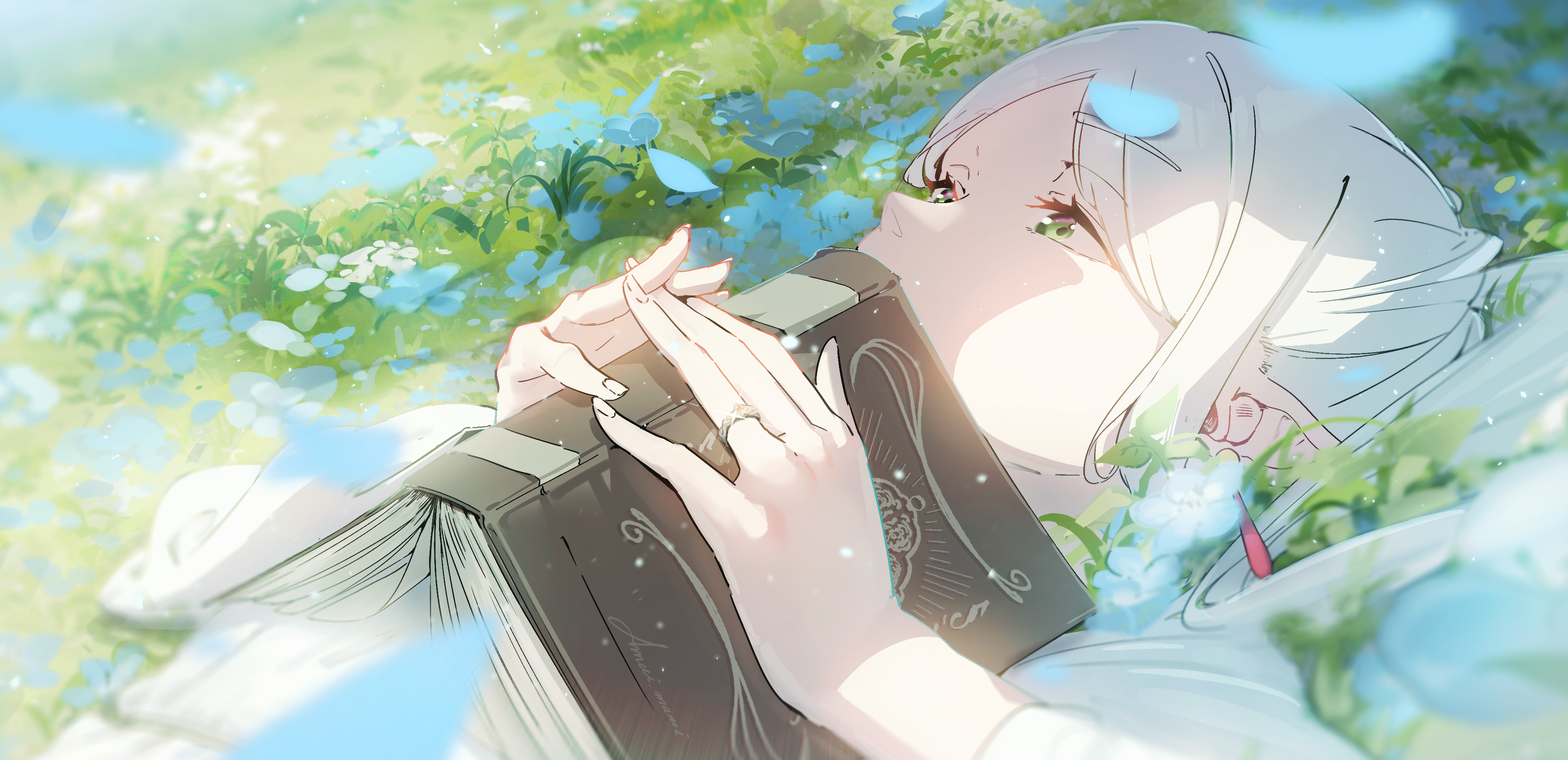 cover